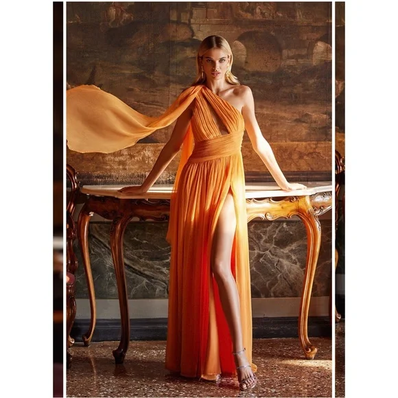 NWT ALAMOUR THE LABEL Sarelle Gown, Orange, Size 0 - Picture 2 of 7